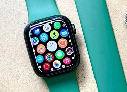 Apple Watch đồng loạt giảm giá sâu tại Việt Nam