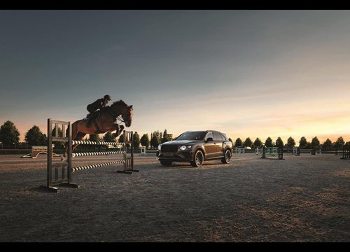 Bentley Bentayga Belgian Equestrian: Phiên bản giới hạn dành riêng cho thị trường Bỉ