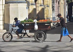 Cuba công bố hơn 70 biện pháp thúc đẩy phục hồi kinh tế