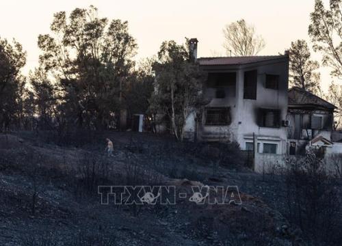 Hy Lạp sơ tán cư dân, du khách trên đảo Lesbos do cháy rừng lan rộng