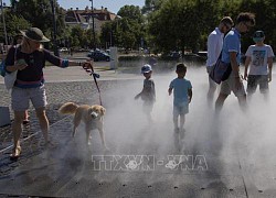 Nắng nóng thiêu đốt ở châu Âu: WHO kêu gọi hành động chống biến đổi khí hậu