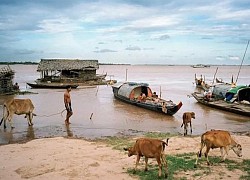 Nhiếp ảnh gia Lâm Đức Hiền: Mekong là điều gì đó rất đặc biệt với tôi