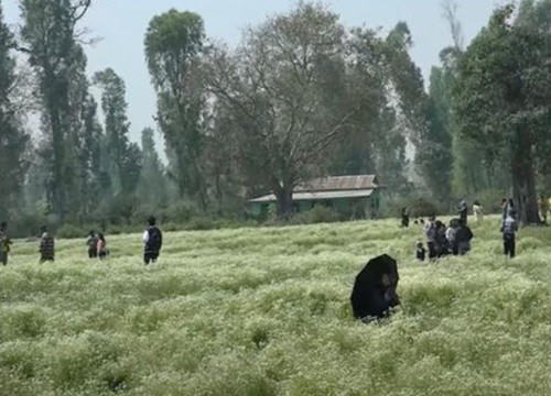 Nhiều điểm du lịch ở Nepal cấm TikToker