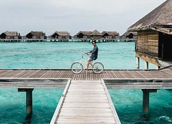 Ca sĩ Quang Vinh thảnh thơi ngắm cảnh Maldives và nhìn cá mập bơi ở nhà hàng dưới biển