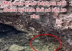 Clip rắn xuất hiện tại hồ Bánh Xe trên đảo Phú Quý khiến nhiều người lo lắng: Lưu ý ngay điều này khi đi biển