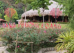 Hang Phượng Hoàng, suối Mỏ Gà - Địa điểm 'giải nhiệt' cho mùa hè oi bức