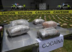 Mexico: Thu giữ 1,6 tấn cocaine được giấu trong khoang bí mật của 2 xe kéo