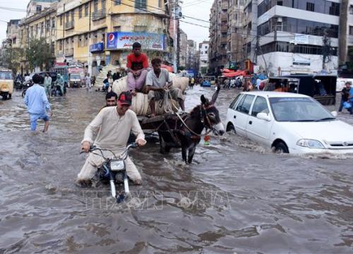 Thành phố lớn nhất của Pakistan bị tê liệt do mưa lớn