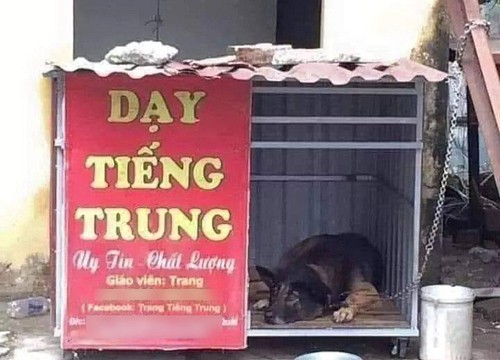 Ảnh vui 1/8: Cô Trang dạy tiếng Trung uy tín và chất lượng