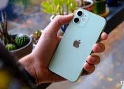 Apple lần đầu tiên bán iPhone 12 mini tân trang