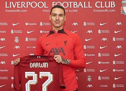 Darwin Nunez từ bờ vực giải nghệ tới người hùng của Liverpool