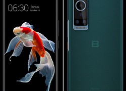 Bphone A85 5G sắp cho đặt móng: mặt lưng da cao cấp, màn hình cong