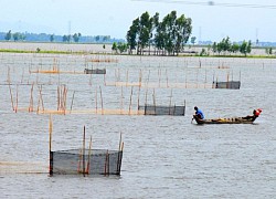 Mùa lũ miền Tây sẽ đến muộn