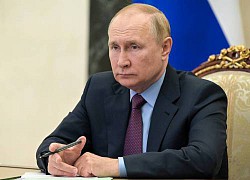 Tổng thống Putin: Phương Tây phớt lờ các nguyên tắc của WTO khi trừng phạt Nga