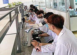 Trường ại học Kỹ thuật - Công nghệ Cần Thơ công bố ngưỡng đảm bảo chất lượng đầu vào xét tuyển năm 2022