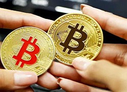 Giá Bitcoin hôm nay 29/8: Giảm mạnh về dưới mốc 20.000 USD/coin