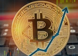 Giá Bitcoin hôm nay 30/8: Bitcoin tiếp tục lao dốc