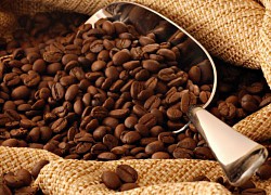 Giá cà phê hôm nay 30/8: Robusta giảm rất mạnh