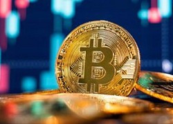 Nhà đầu tư như 'ngồi trên lửa' khi Bitcoin rơi xuống dưới mốc 20.000 USD