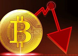 Giá Bitcoin hôm nay 31/8: Tăng trở lại sau khi mất mốc 20.000 USD