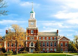 Harvard văng khỏi top 10 trường tốt nhất ở Mỹ