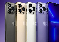 iPhone 11, 12, 13 đồng loạt lao dốc kịch sàn, có mẫu chưa đến 10 triệu đồng