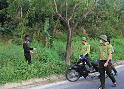 Khai thác hiệu quả và bảo tồn bán đảo Sơn Trà