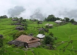 Ngắm ruộng bậc thang mờ ảo dưới màn mây ở Bản Phùng, Hà Giang