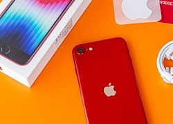 Thế hệ iPhone SE tiếp theo sẽ sở hữu thiết kế từ iPhone XR