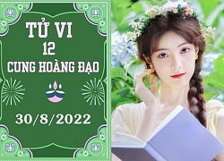 Tử vi 12 cung hoàng đạo ngày 30/8: Bảo Bình sa sút, Nhân Mã vượt qua khó khăn