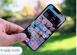 Tại sao Apple từ bỏ phiên bản mini của iPhone?