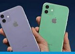 Các phiên bản tiêu chuẩn của Apple 'mồi nhử'