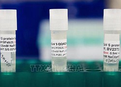 EMA khuyến cáo Novavax liệt kê tác dụng phụ mới của vaccine ngừa COVID-19