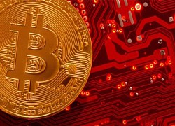 Giá Bitcoin hôm nay 4/8: Tiếp tục lao dốc