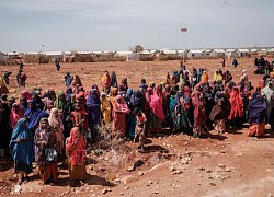 Hạn hán nghiêm trọng tại Somalia, hàng triệu người cần được cứu trợ nhân đạo