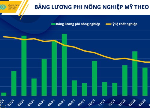 Tương lai thị trường kim loại quý trước những diễn biến lớn của kinh tế vĩ mô