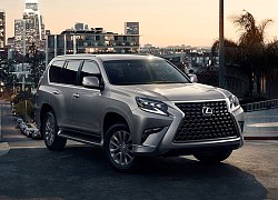 Bảng giá xe Lexus tháng 8/2022: Rẻ nhất 2,130 tỷ đồng