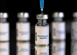 Đan Mạch tiêm vaccine phòng bệnh đậu mùa khỉ cho các nhóm dễ tổn thương