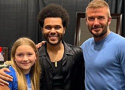 David Beckham đưa con gái Harper tới đêm nhạc của The Weeknd