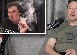 Elon Musk khiến hàng nghìn người gặp rắc rối vì một điếu cần sa