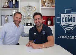 Fabregas đến Serie B, trở thành cổ đông của Como