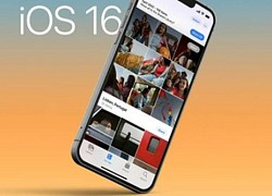 Tính năng mới trên iOS 16 giúp tách nền ảnh dễ dàng chỉ trong chớp mắt!