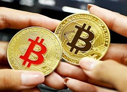 Giá Bitcoin hôm nay 8/8: Bitcoin nhích tăng