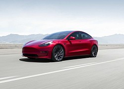 Tesla kỳ vọng Model Y sẽ có doanh số cao hơn Toyota Corolla