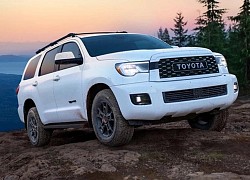 5 chiếc SUV có tuổi thọ cao nhất đến từ thương hiệu Toyota