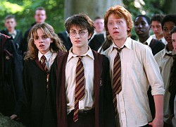 Cái kết thật của dàn nhân vật Harry Potter, chỉ xem phim thôi thì không bao giờ biết được