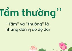 Câu đố Tiếng Việt: Vì sao lại nói là "TẦM THƯỜNG"