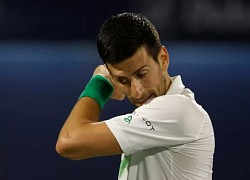 Djokovic không phải "kẻ phản diện", xứng đáng là tay vợt "vĩ đại nhất"