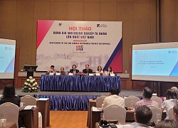 Doanh nghiệp nhóm VPE500 có quy mô tài sản cao gấp hơn 132 lần