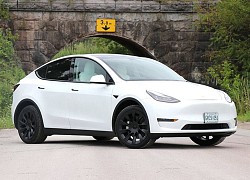 Elon Musk - Tesla Model Y sẽ là ôtô điện bán chạy nhất thế giới